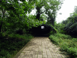 Path covered by plants at the Dalian Jinshitan Coastal National Geopark