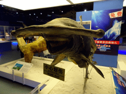 Stuffed Hammerhead Shark at the First Floor of the Dalian Jinshitan Mystery of Life Museum