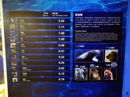 Information on the Brain/Body Ratio and the Cerebral Index at the First Floor of the Dalian Jinshitan Mystery of Life Museum