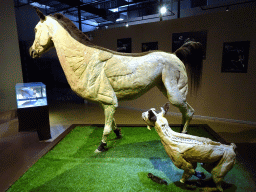Stuffed Horse and Dog at the Second Floor of the Dalian Jinshitan Mystery of Life Museum