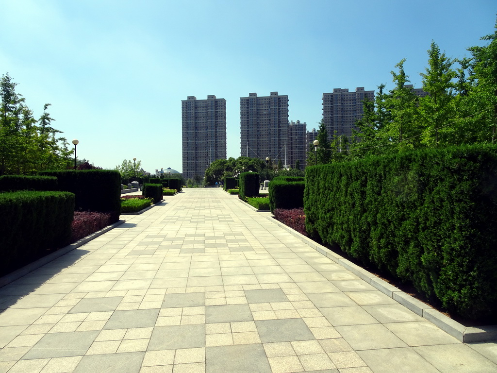 Path at Haibin Park