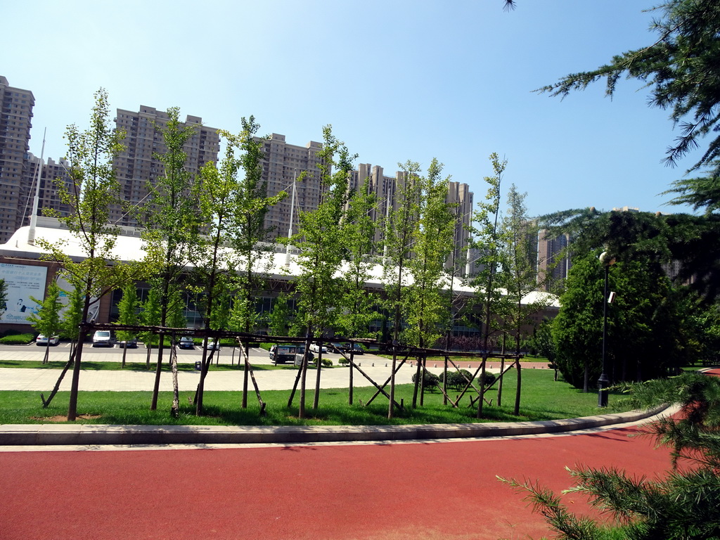 Bicycle path at Haibin Park