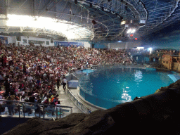 Main Hall of the Pole Aquarium at the Dalian Laohutan Ocean Park, just before the Water Show