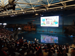 Main Hall of the Pole Aquarium at the Dalian Laohutan Ocean Park, just before the Water Show