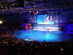 Dolphin and zookeeper in the Main Hall of the Pole Aquarium at the Dalian Laohutan Ocean Park, during the Water Show