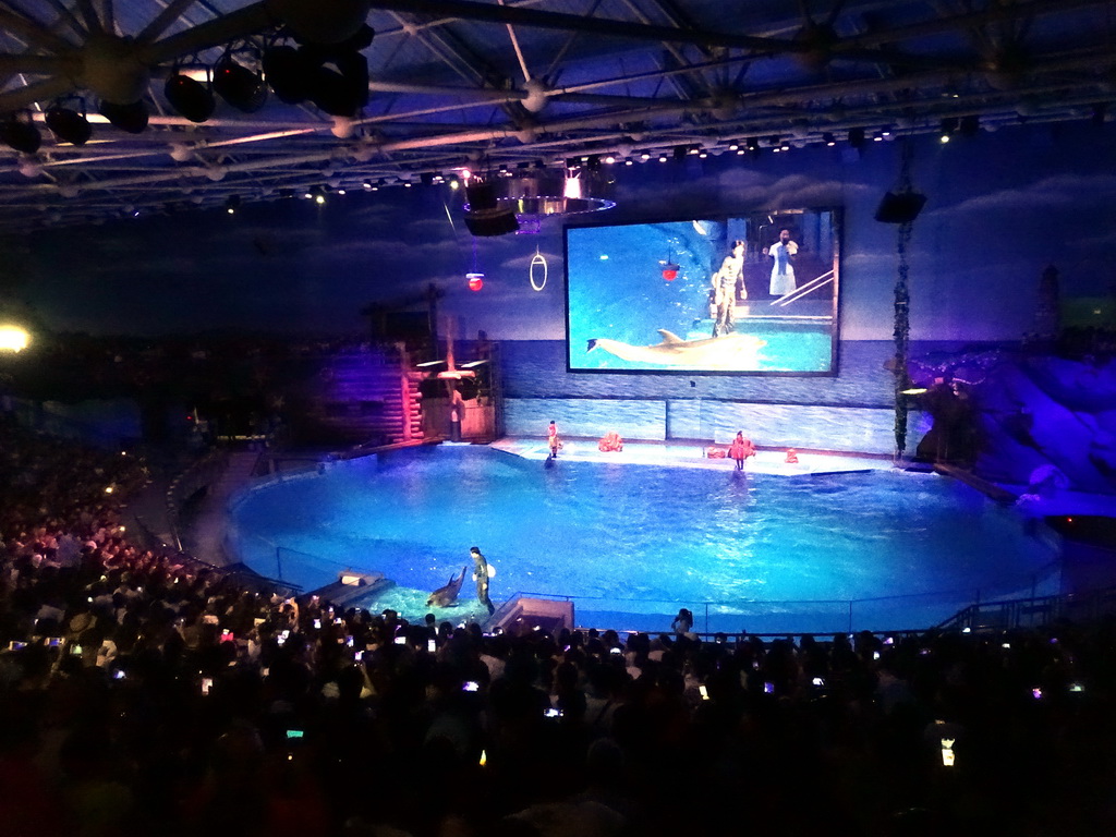 Dolphin and zookeeper in the Main Hall of the Pole Aquarium at the Dalian Laohutan Ocean Park, during the Water Show