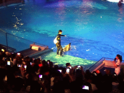 Dolphin and zookeeper in the Main Hall of the Pole Aquarium at the Dalian Laohutan Ocean Park, during the Water Show