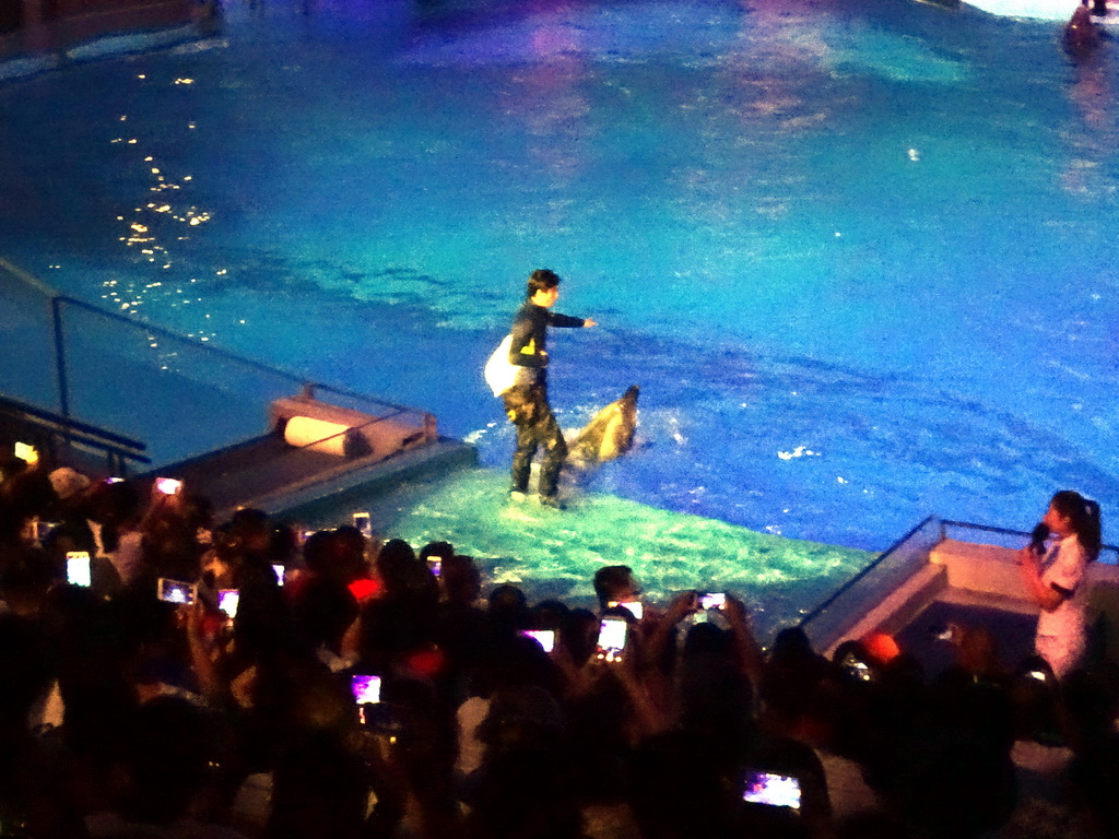 Dolphin and zookeeper in the Main Hall of the Pole Aquarium at the Dalian Laohutan Ocean Park, during the Water Show