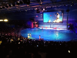 Dolphin and zookeeper in the Main Hall of the Pole Aquarium at the Dalian Laohutan Ocean Park, during the Water Show