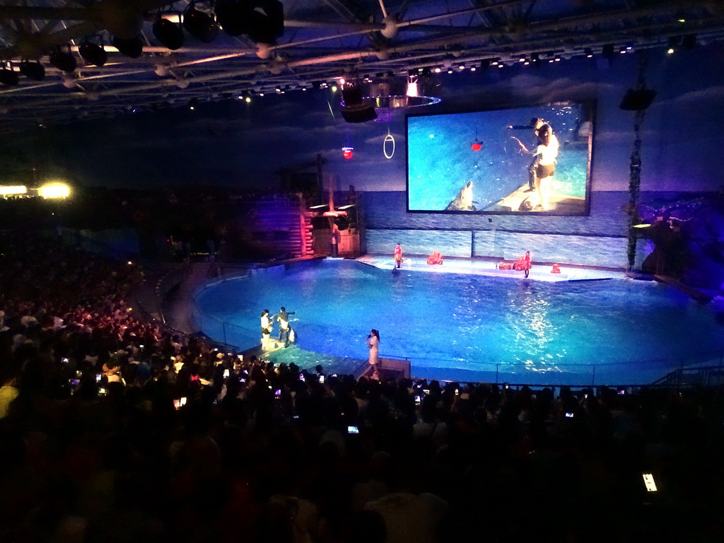 Dolphin and zookeeper in the Main Hall of the Pole Aquarium at the Dalian Laohutan Ocean Park, during the Water Show