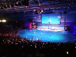 Dolphins and zookeeper in the Main Hall of the Pole Aquarium at the Dalian Laohutan Ocean Park, during the Water Show