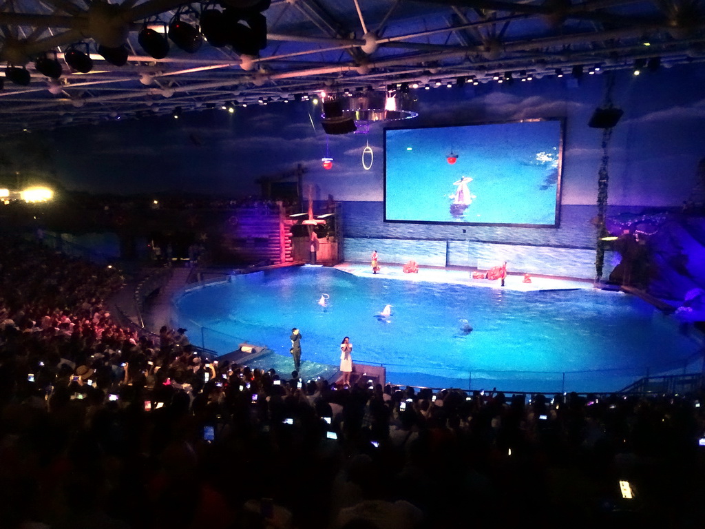 Dolphins and zookeeper in the Main Hall of the Pole Aquarium at the Dalian Laohutan Ocean Park, during the Water Show