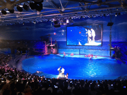 Dolphins and zookeeper in the Main Hall of the Pole Aquarium at the Dalian Laohutan Ocean Park, during the Water Show