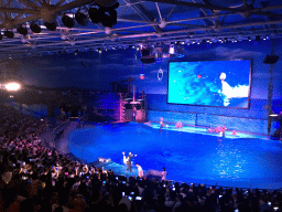 Dolphins and zookeeper in the Main Hall of the Pole Aquarium at the Dalian Laohutan Ocean Park, during the Water Show