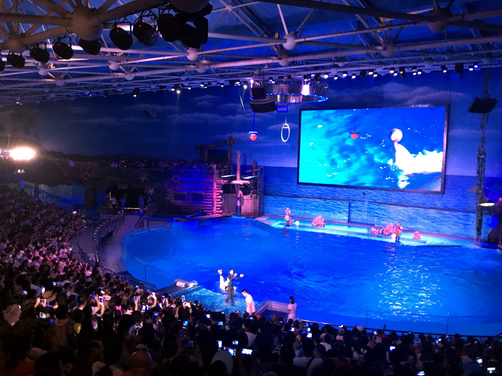 Dolphins and zookeeper in the Main Hall of the Pole Aquarium at the Dalian Laohutan Ocean Park, during the Water Show