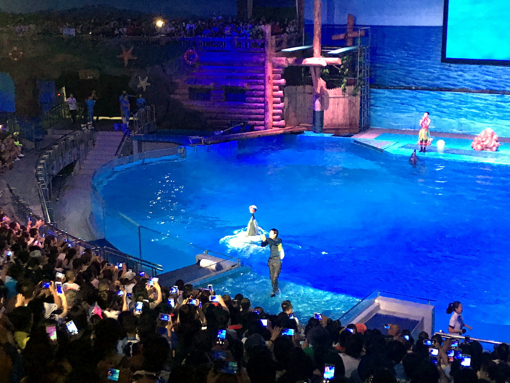 Dolphins and zookeeper in the Main Hall of the Pole Aquarium at the Dalian Laohutan Ocean Park, during the Water Show