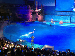 Dolphins and zookeeper in the Main Hall of the Pole Aquarium at the Dalian Laohutan Ocean Park, during the Water Show