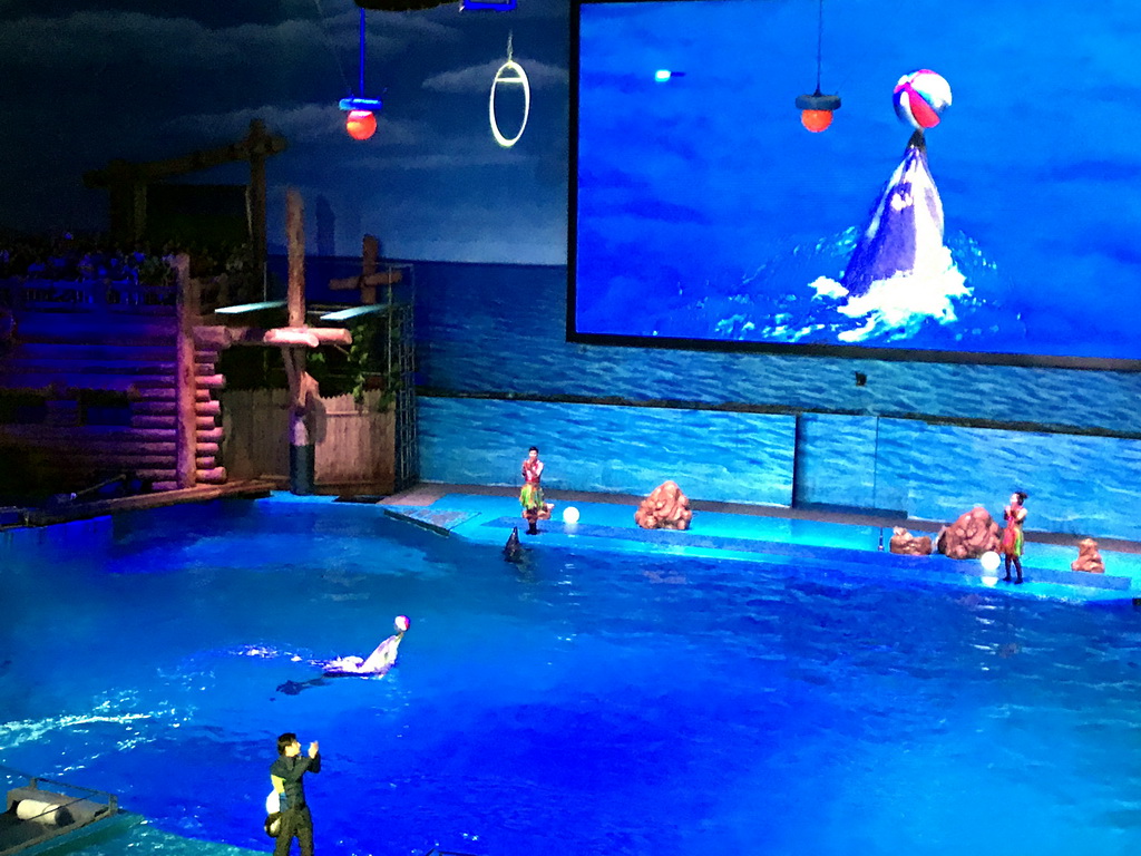 Dolphins and zookeeper in the Main Hall of the Pole Aquarium at the Dalian Laohutan Ocean Park, during the Water Show