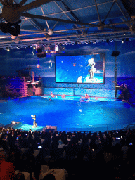 Dolphins and zookeeper in the Main Hall of the Pole Aquarium at the Dalian Laohutan Ocean Park, during the Water Show