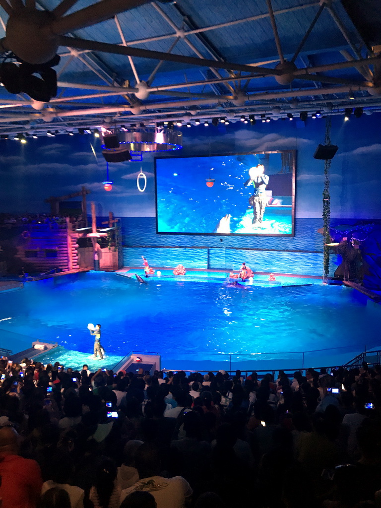 Dolphins and zookeeper in the Main Hall of the Pole Aquarium at the Dalian Laohutan Ocean Park, during the Water Show