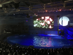 Main Hall of the Pole Aquarium at the Dalian Laohutan Ocean Park, during the Water Show