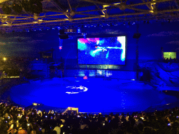 Dolphins and zookeeper in the Main Hall of the Pole Aquarium at the Dalian Laohutan Ocean Park, during the Water Show