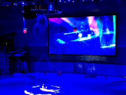 Dolphins and zookeeper in the Main Hall of the Pole Aquarium at the Dalian Laohutan Ocean Park, during the Water Show