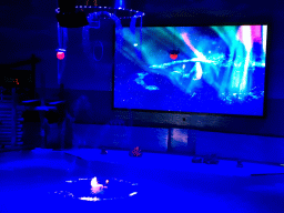 Dolphins and zookeeper in the Main Hall of the Pole Aquarium at the Dalian Laohutan Ocean Park, during the Water Show