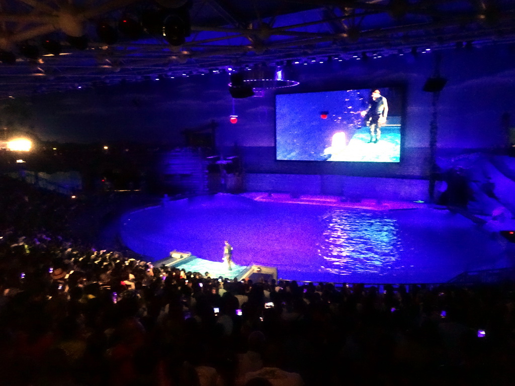 Beluga Whale and zookeeper in the Main Hall of the Pole Aquarium at the Dalian Laohutan Ocean Park, during the Water Show