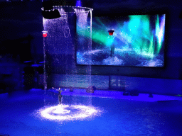 Beluga Whale and zookeeper in the Main Hall of the Pole Aquarium at the Dalian Laohutan Ocean Park, during the Water Show