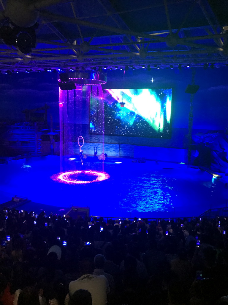 Acrobat in the Main Hall of the Pole Aquarium at the Dalian Laohutan Ocean Park, during the Water Show