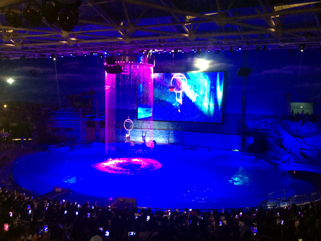 Acrobat in the Main Hall of the Pole Aquarium at the Dalian Laohutan Ocean Park, during the Water Show