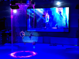 Acrobat in the Main Hall of the Pole Aquarium at the Dalian Laohutan Ocean Park, during the Water Show