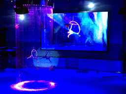 Acrobat in the Main Hall of the Pole Aquarium at the Dalian Laohutan Ocean Park, during the Water Show