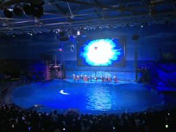 Zookeepers in the Main Hall of the Pole Aquarium at the Dalian Laohutan Ocean Park, during the Water Show
