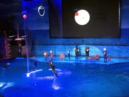 Dolphins and zookeepers in the Main Hall of the Pole Aquarium at the Dalian Laohutan Ocean Park, during the Water Show