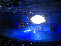 Dolphins and zookeepers in the Main Hall of the Pole Aquarium at the Dalian Laohutan Ocean Park, during the Water Show