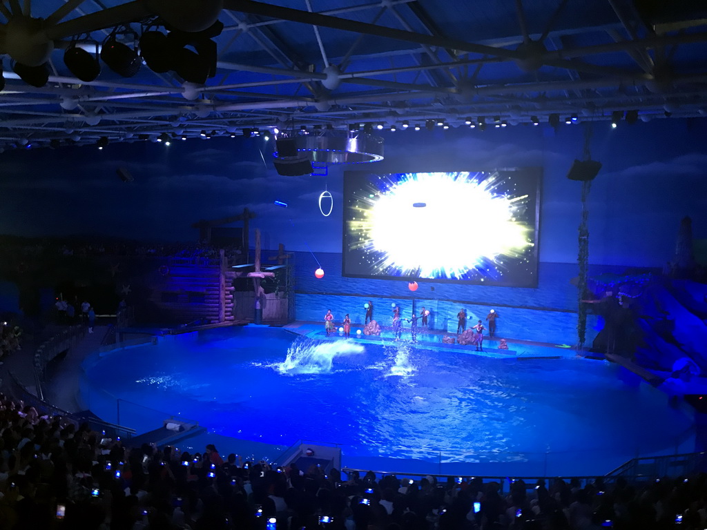 Dolphins and zookeepers in the Main Hall of the Pole Aquarium at the Dalian Laohutan Ocean Park, during the Water Show