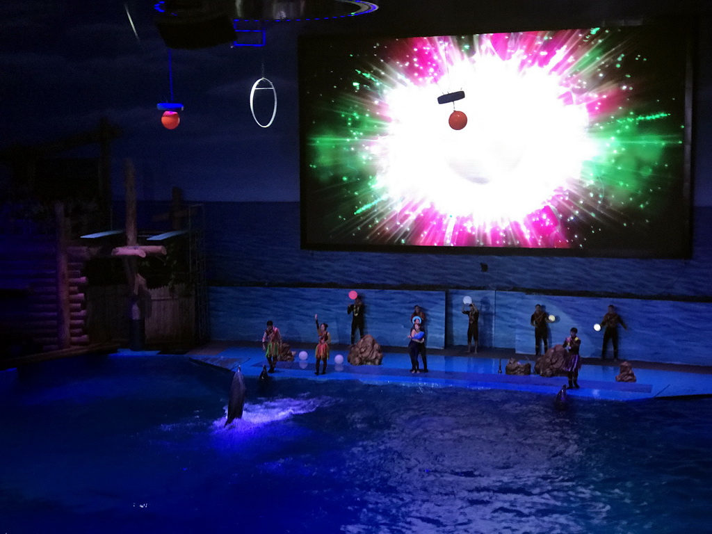 Dolphins and zookeepers in the Main Hall of the Pole Aquarium at the Dalian Laohutan Ocean Park, during the Water Show