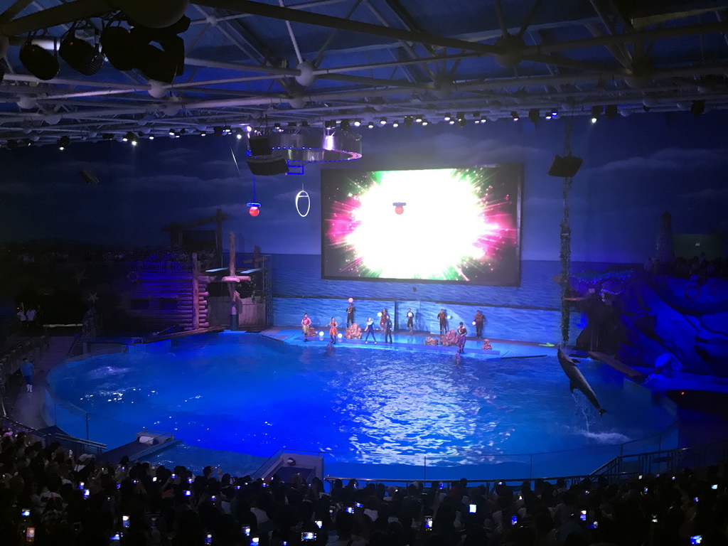 Dolphins and zookeepers in the Main Hall of the Pole Aquarium at the Dalian Laohutan Ocean Park, during the Water Show