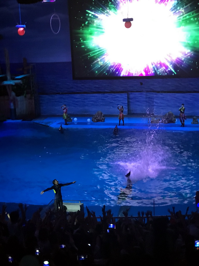 Dolphins and zookeepers in the Main Hall of the Pole Aquarium at the Dalian Laohutan Ocean Park, during the Water Show