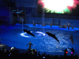 Dolphins and zookeepers in the Main Hall of the Pole Aquarium at the Dalian Laohutan Ocean Park, during the Water Show