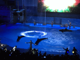 Dolphins and zookeepers in the Main Hall of the Pole Aquarium at the Dalian Laohutan Ocean Park, during the Water Show