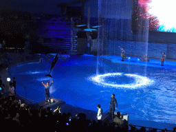 Dolphins and zookeepers in the Main Hall of the Pole Aquarium at the Dalian Laohutan Ocean Park, during the Water Show