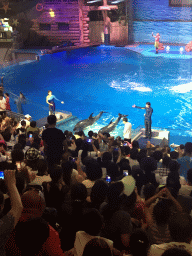 Dolphins and zookeepers in the Main Hall of the Pole Aquarium at the Dalian Laohutan Ocean Park, during the Water Show