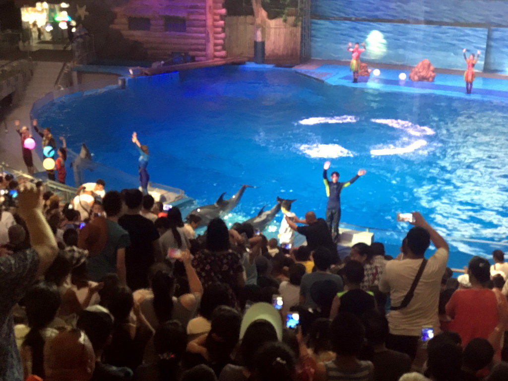 Dolphins and zookeepers in the Main Hall of the Pole Aquarium at the Dalian Laohutan Ocean Park, during the Water Show