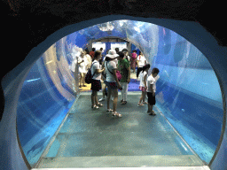 Underwater tunnel at the Pole Aquarium at the Dalian Laohutan Ocean Park