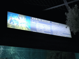 Explanation on the Giant Pangasius at the Pole Aquarium at the Dalian Laohutan Ocean Park