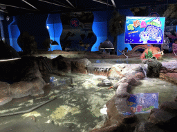 Reef at the Pole Aquarium at the Dalian Laohutan Ocean Park