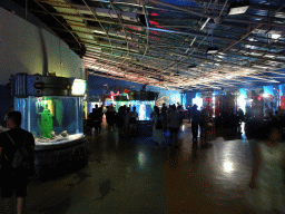 Interior of the Pole Aquarium at the Dalian Laohutan Ocean Park